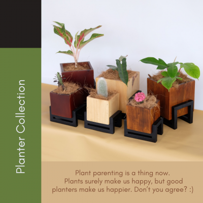 Planter Collection